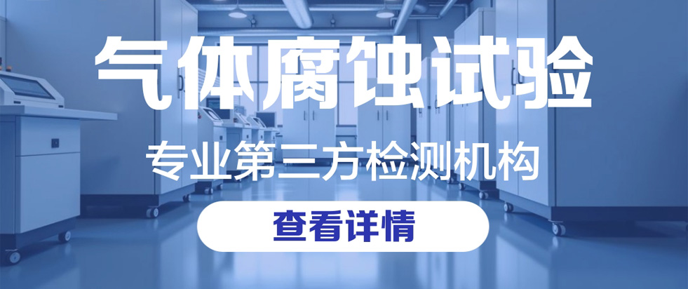 气体腐蚀试验
