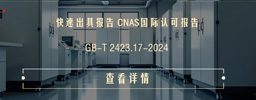 GB-T 2423.17-2024环境试验