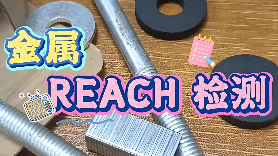 reach检测一项大概多少钱
